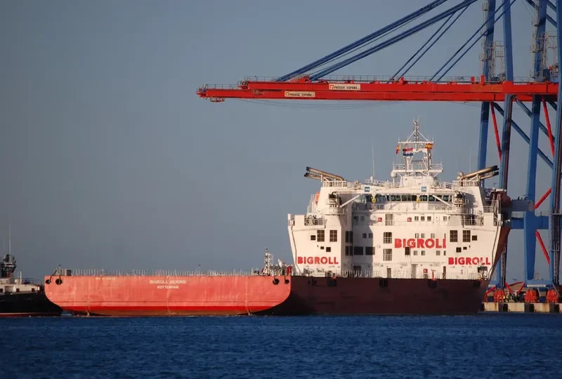 BIGROLL BERING General Cargo IMO 9710476 photo 6
