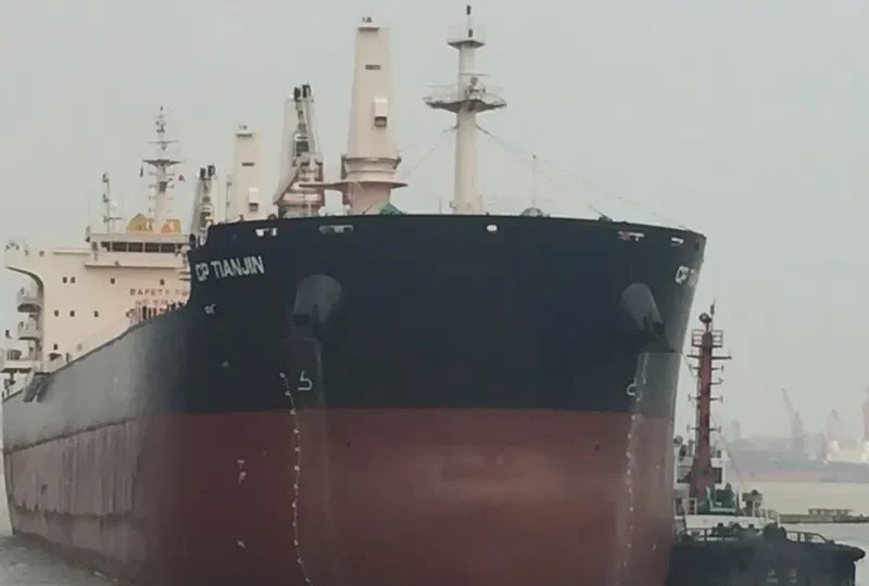 CP TIANJIN Bulk Carrier IMO 9710505 photo 6