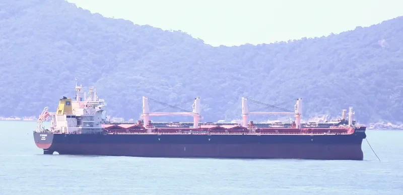CP CHONGQING Bulk Carrier IMO 9710517 photo 2