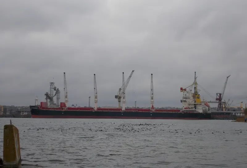 CP CHONGQING Bulk Carrier IMO 9710517 photo 7