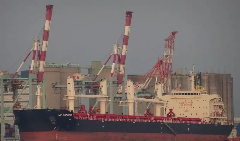 CP NANJING Bulk Carrier IMO 9710529 photo 2