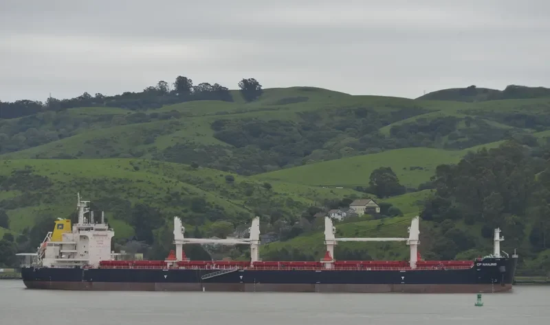 CP NANJING Bulk Carrier IMO 9710529 photo 3