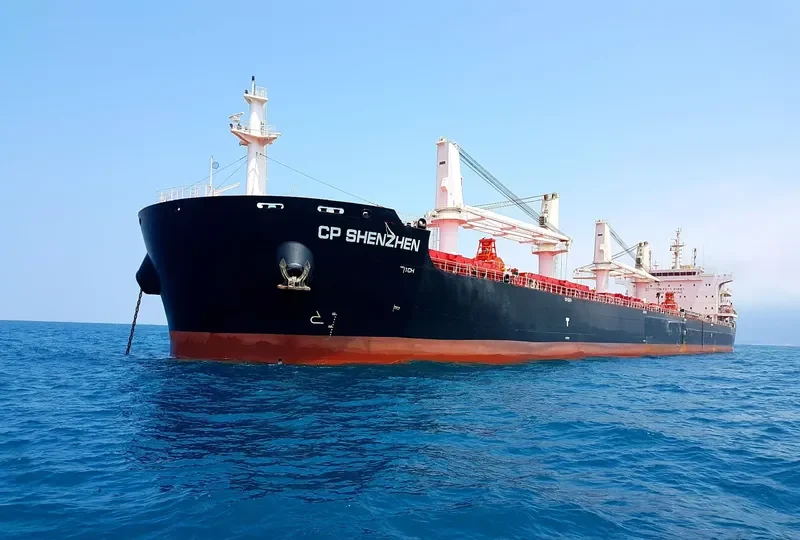 CP SHENZHEN Bulk Carrier IMO 9710531