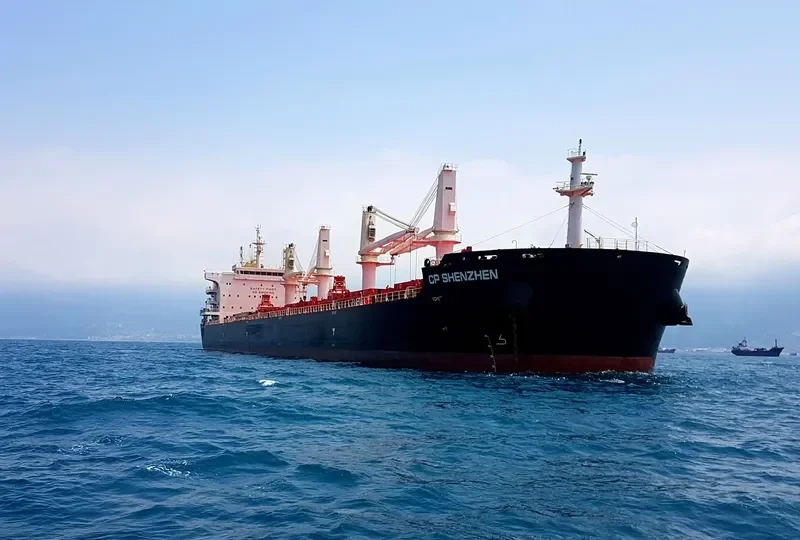 CP SHENZHEN Bulk Carrier IMO 9710531 photo 2