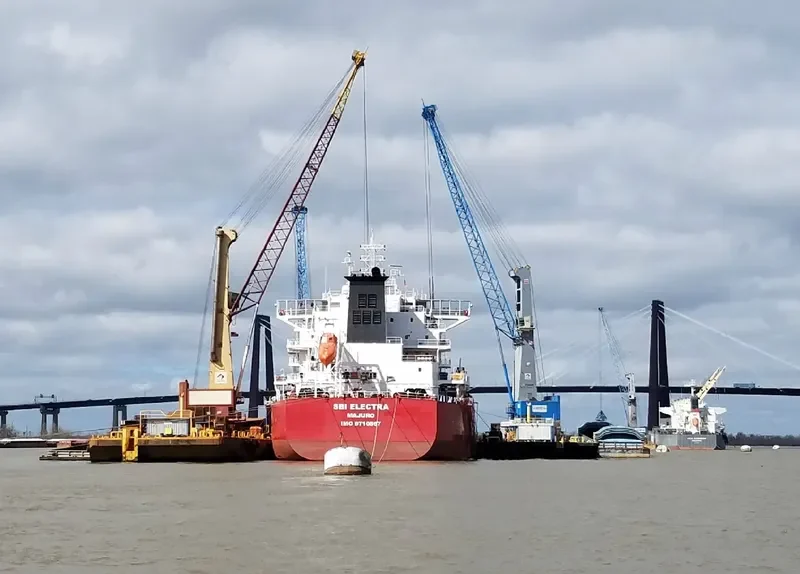 ELECTRA Bulk Carrier IMO 9710567 photo 3