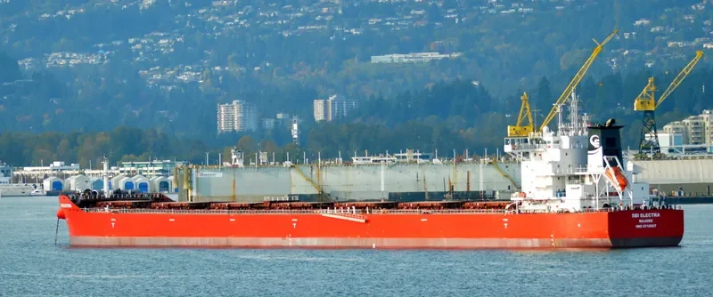 ELECTRA Bulk Carrier IMO 9710567 photo 4