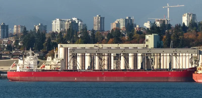 ELECTRA Bulk Carrier IMO 9710567 photo 5
