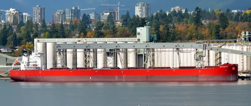 ELECTRA Bulk Carrier IMO 9710567 photo 6