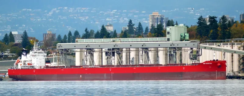 ELECTRA Bulk Carrier IMO 9710567 photo 7