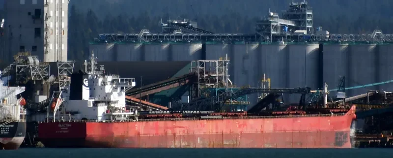 ELECTRA Bulk Carrier IMO 9710567 photo 8