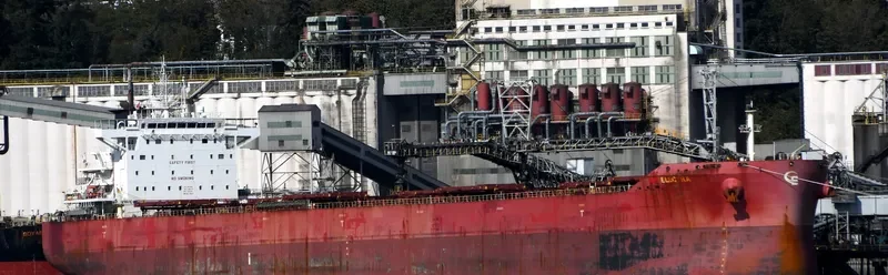 ELECTRA Bulk Carrier IMO 9710567 photo 9
