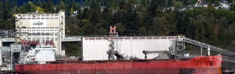 ELECTRA Bulk Carrier IMO 9710567 photo 10