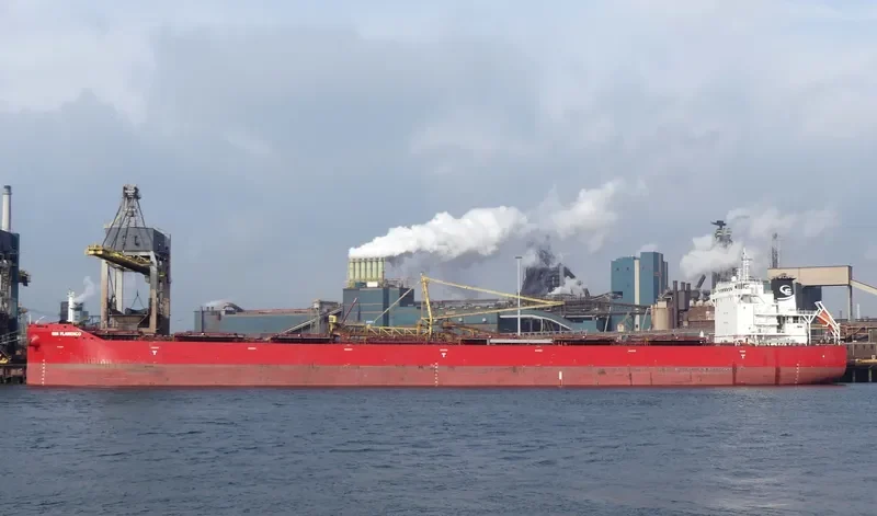 FLAMENCO Bulk Carrier IMO 9710579 photo 2