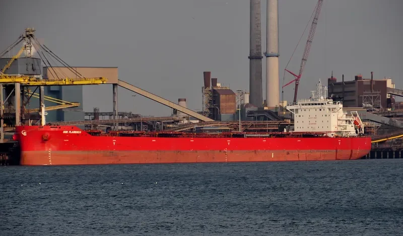 FLAMENCO Bulk Carrier IMO 9710579 photo 3