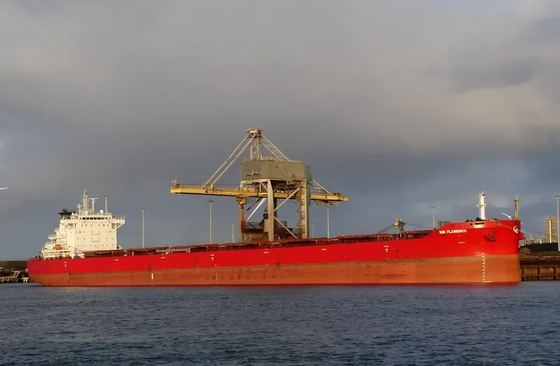 FLAMENCO Bulk Carrier IMO 9710579 photo 4