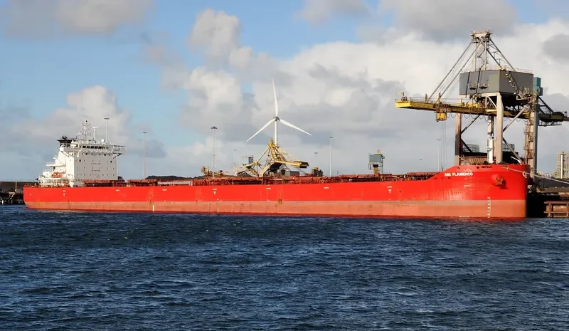 FLAMENCO Bulk Carrier IMO 9710579 photo 6