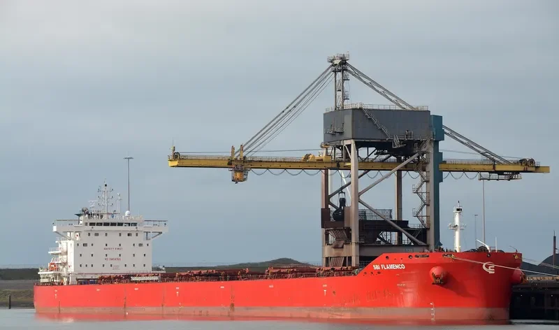 FLAMENCO Bulk Carrier IMO 9710579 photo 7