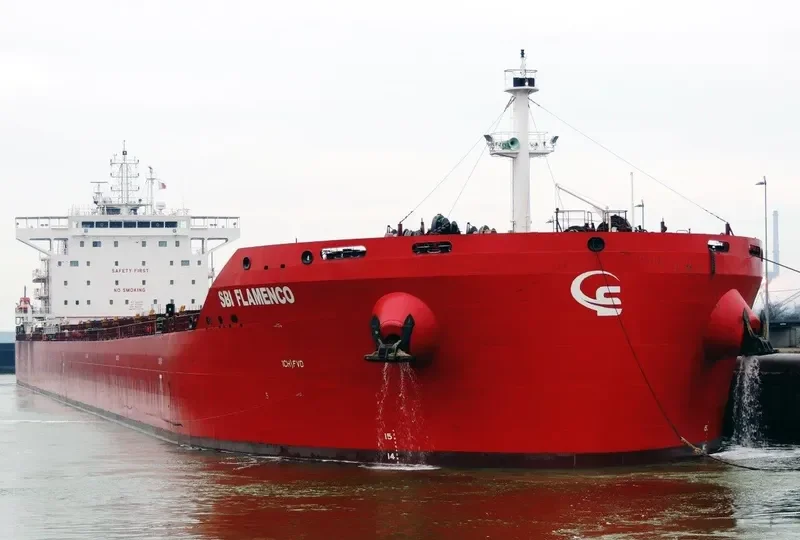 FLAMENCO Bulk Carrier IMO 9710579 photo 9