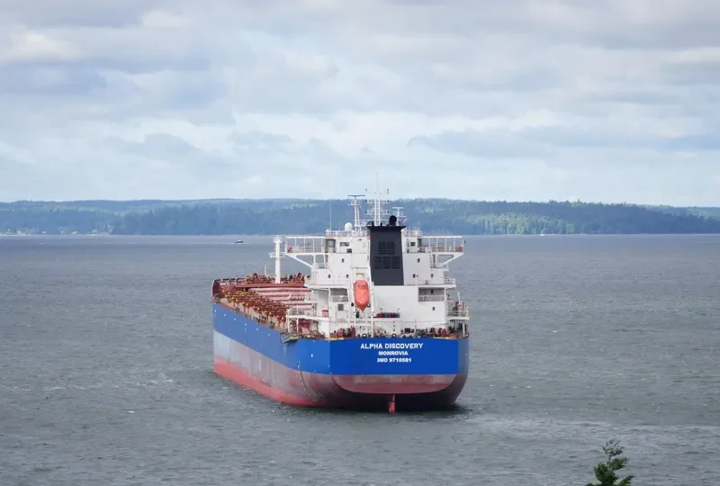 ALPHA DISCOVERY Bulk Carrier IMO 9710581 photo 3