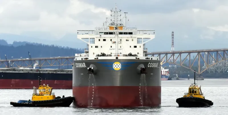 COSMAR Bulk Carrier IMO 9710593 photo 2