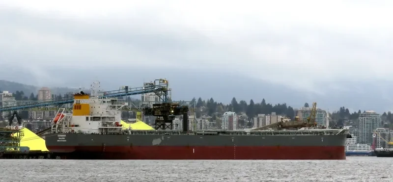 COSMAR Bulk Carrier IMO 9710593 photo 4