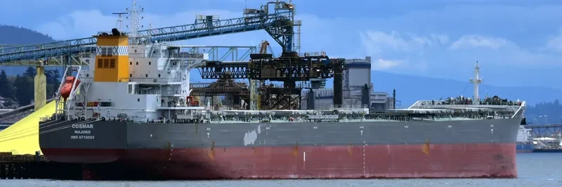COSMAR Bulk Carrier IMO 9710593 photo 5