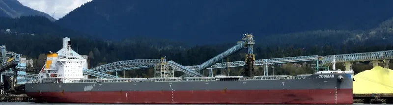 COSMAR Bulk Carrier IMO 9710593 photo 6