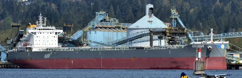 COSMAR Bulk Carrier IMO 9710593 photo 7