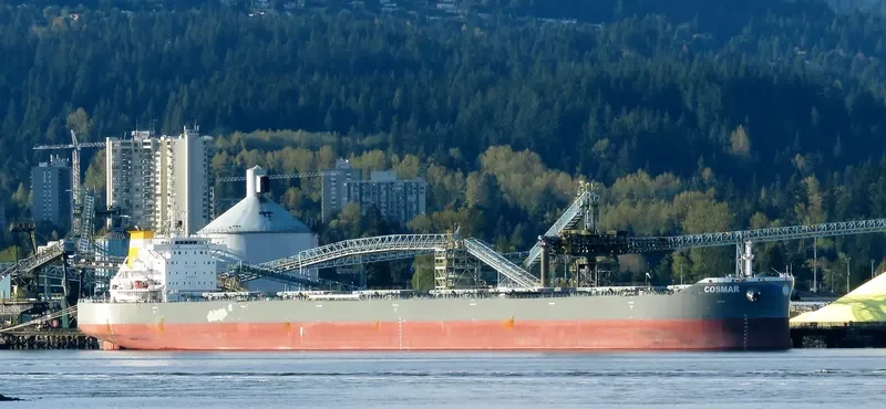 COSMAR Bulk Carrier IMO 9710593 photo 8