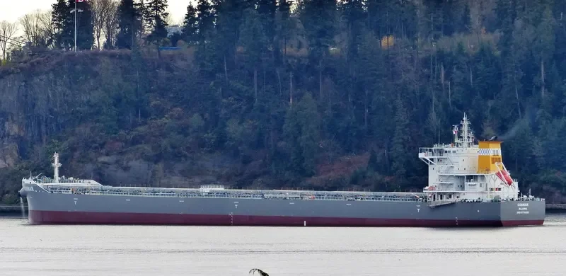 COSMAR Bulk Carrier IMO 9710593 photo 9