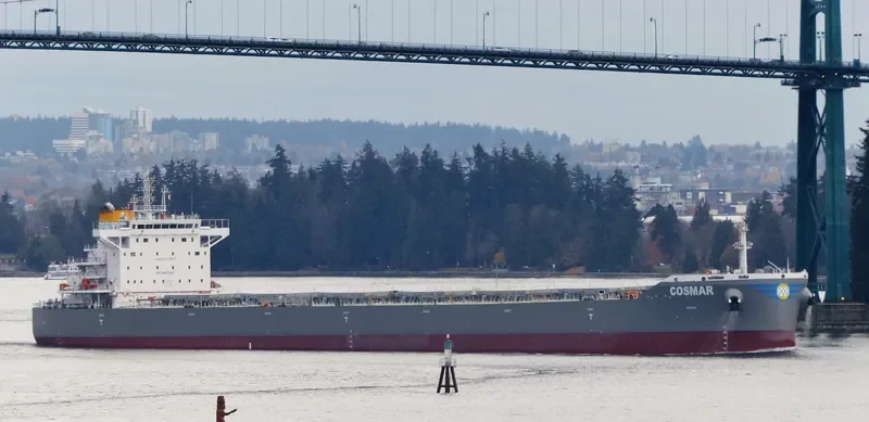 COSMAR Bulk Carrier IMO 9710593 photo 10