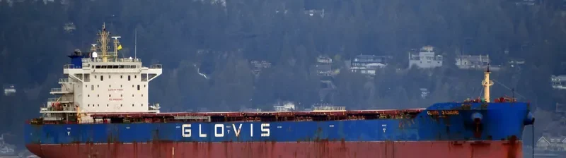 GLOVIS DIAMOND Bulk Carrier IMO 9710660 photo 7