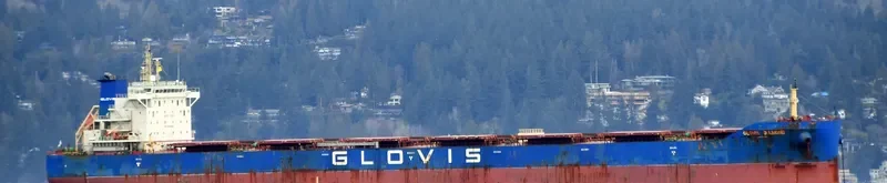 GLOVIS DIAMOND Bulk Carrier IMO 9710660 photo 8
