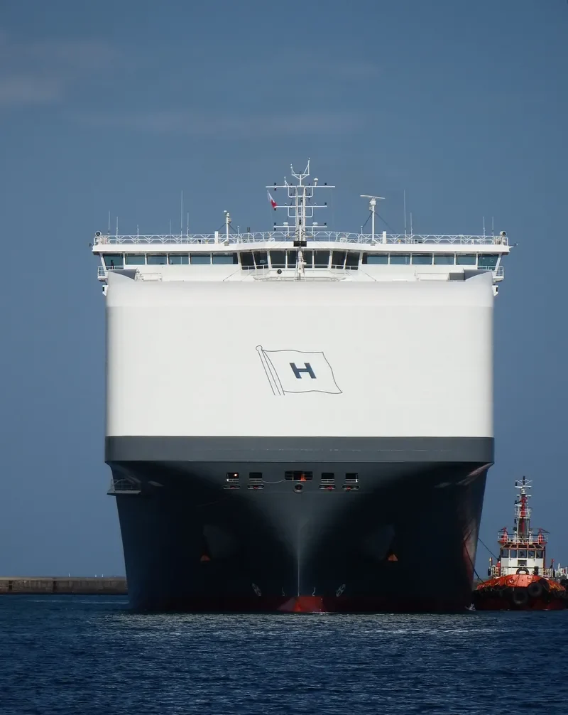 HOEGH TROTTER General Cargo IMO 9710749 photo 8