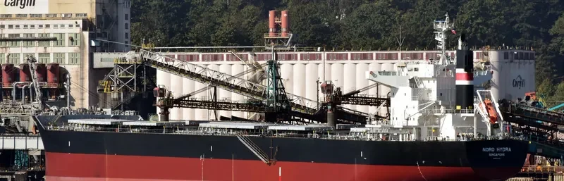 NORD HYDRA Bulk Carrier IMO 9710787 photo 3