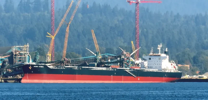 NORD HYDRA Bulk Carrier IMO 9710787 photo 4