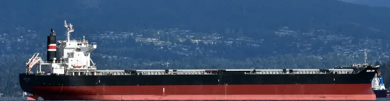 NORD LIBRA Bulk Carrier IMO 9710799