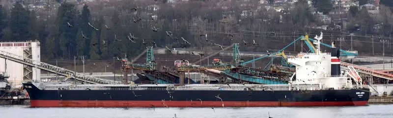 NORD LIBRA Bulk Carrier IMO 9710799 photo 6