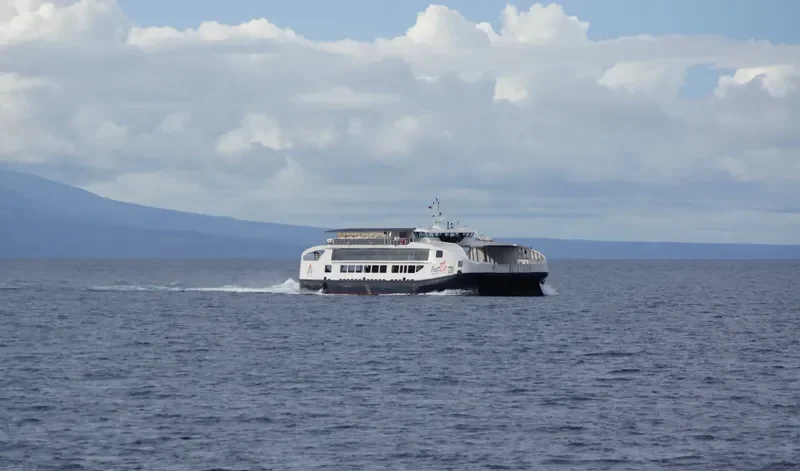FAST CAT M2 Ro-Ro IMO 9711119 photo 3