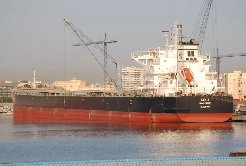 XENIA Bulk Carrier IMO 9711133 photo 3