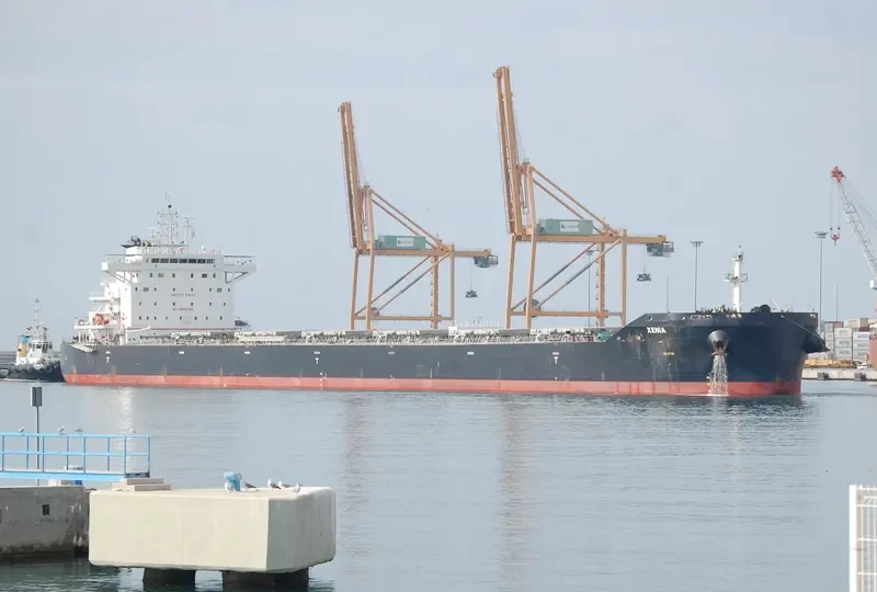XENIA Bulk Carrier IMO 9711133 photo 7