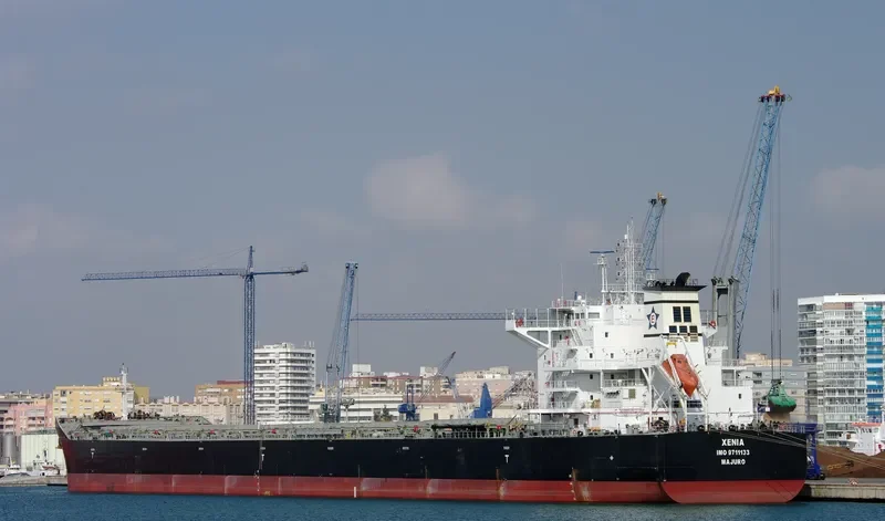 XENIA Bulk Carrier IMO 9711133 photo 8