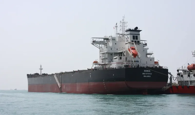 XENIA Bulk Carrier IMO 9711133 photo 9