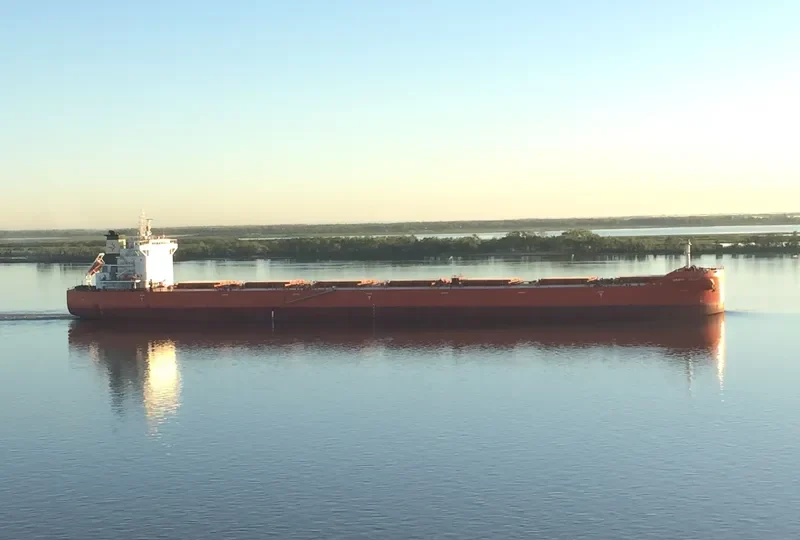 DARYA SHANTI Bulk Carrier IMO 9711145