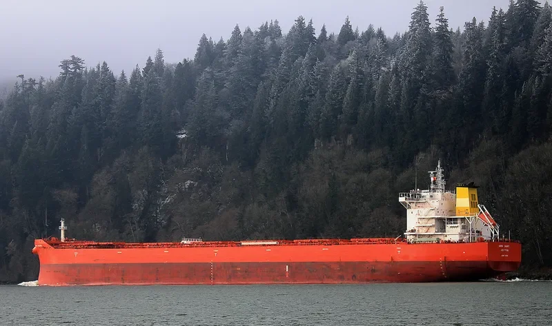 DARYA SHANTI Bulk Carrier IMO 9711145 photo 4