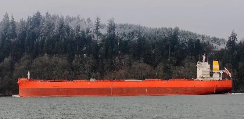 DARYA SHANTI Bulk Carrier IMO 9711145 photo 5