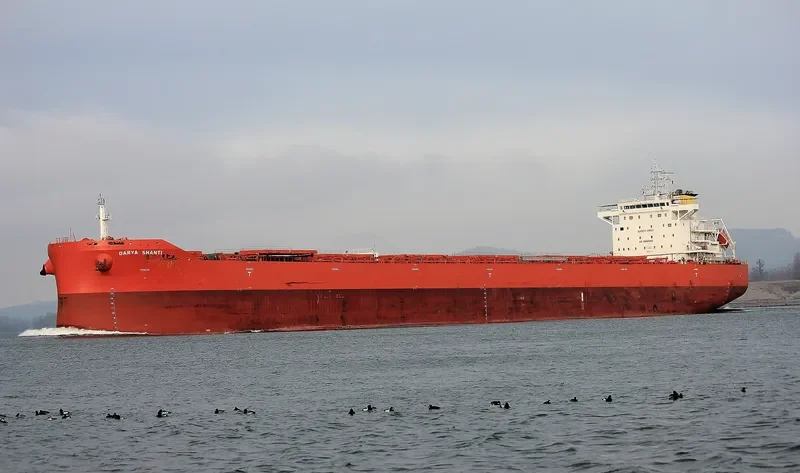 DARYA SHANTI Bulk Carrier IMO 9711145 photo 6