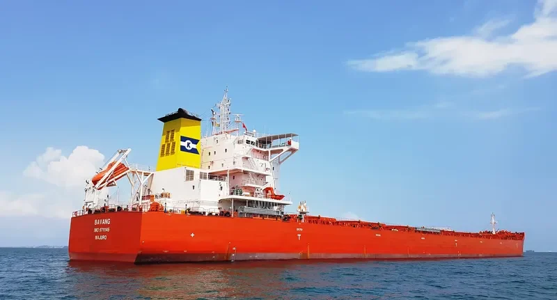 DARYA SHANTI Bulk Carrier IMO 9711145 photo 8