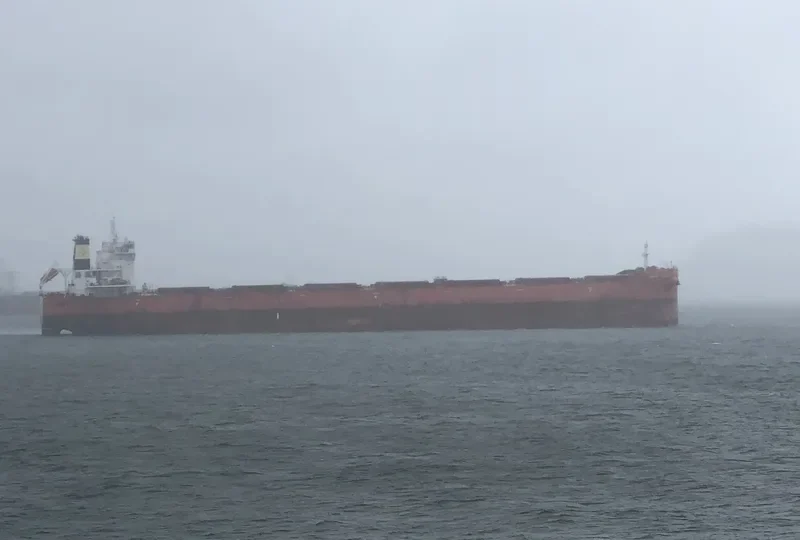 DARYA SHANTI Bulk Carrier IMO 9711145 photo 10