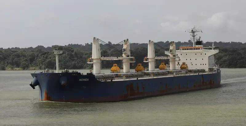 NEMEA Bulk Carrier IMO 9711286